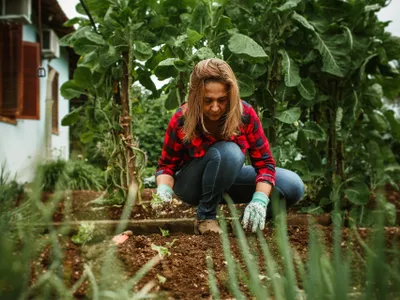 Femeie care plantează flori în grădină - Foto: Pexels (Imagine cu rol ilustrativ)