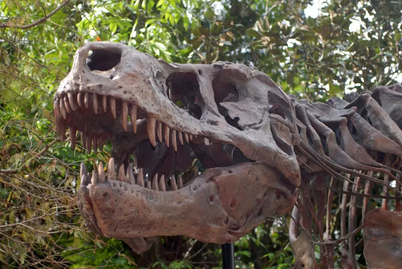 T.rex - Foto: Profimedia Images