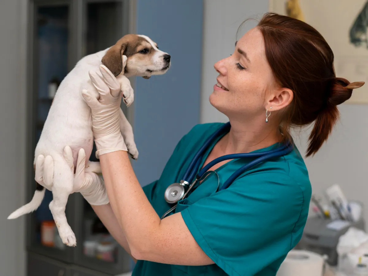 Veterinar - Foto: Magnific (rol ilustrativ)