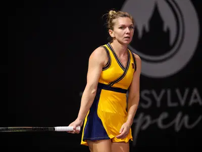 Virusul leneșului, asemănător cu cel ce a speriat-o pe Simona Halep - Foto: INQUAM Photos/Sebastian Tătaru - cu rol ilustrativ