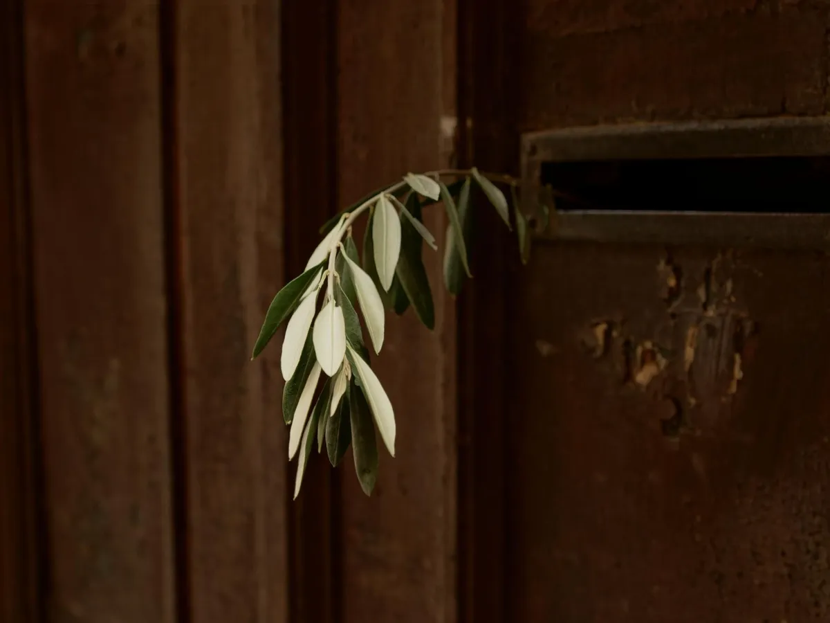 Frunză de dafin la ușă - Foto: Freepik (Imagine cu rol ilustrativ)