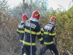 Incendiul de la Chilia s-a reaprins. A fost solicitat sprijin aerian. 1000 hectare, deja afectate - Foto: arhivă (Imagine cu rol ilustrativ)