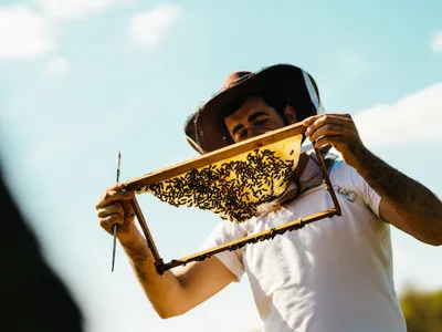 Apicultor - Foto: Freepik (Imagine cu rol ilustrativ)