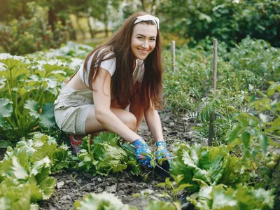 Persoană care plantează în grădină - Foto: Magnific.com (Imagine cu rol ilustrativ)