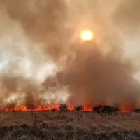 Incendiile de vegetație sunt tot mai periculoase în țară. Flăcările amenință casele și pădurile - Foto: Arhiva