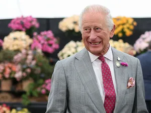 Reședința Regelui Charles al III-lea, invadată de insecte - Foto: Profimedia Images (cu rol ilustrativ)