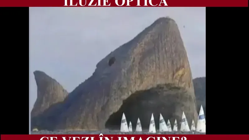 Iluzie optică Foto: Newsweek