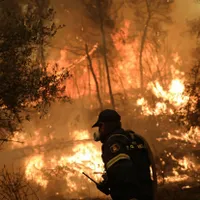 Incendiile și canicula fac ravagii în Grecia. Pompierii abia mai fac față focului puternic  - Foto: Digi24 / imagine cu caracter ilustrativ