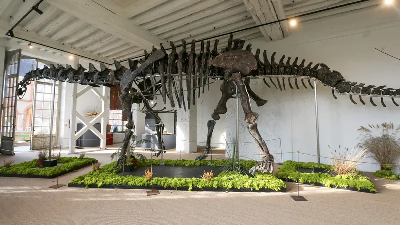 Schelet de dinozaur, vândut cu 6.000.000 € . Unde va ajunge uriașul erbivor - Foto: Profimedia Images (rol ilustrativ)