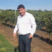 Simion Mureșan pare că se simte mai bine în vie decât într-un birou