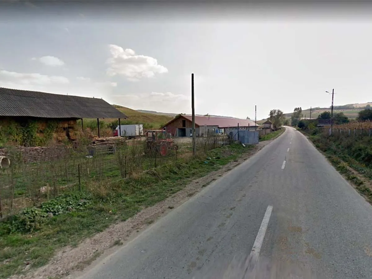 Ferma în care au fost exploatatți cei cinci copii se află în satul Hopârta, județul Alba Foto: Bihoreanul