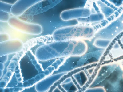 Microbi Foto: Freepik (imagine cu rol ilustrativ)