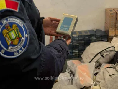 Tigari - Foto: www.politiadefrontiera.ro