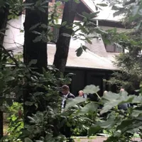 Viorica Dăncilă și miniștrii, în pădure, la picnic. Foto Digi24