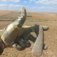 Cu un detector de metale de 3000 de lei, un bărbat din Iași a găsit obiecte vechi de 5000 de ani Foto: bzi.ro
