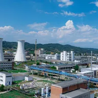 95 de milioane de lei profit pentru cel mai mare combinat chimic producător de polioli românesc,Chimcomplex