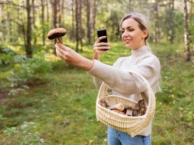 De ce riști amendă de până la 5.000 de lei dacă ieși la „plimbare” în pădure? N-ai voie! - Foto: Freepik