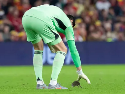 Portarul belgian Thibaut Courtois  - Foto: Profimedia Images