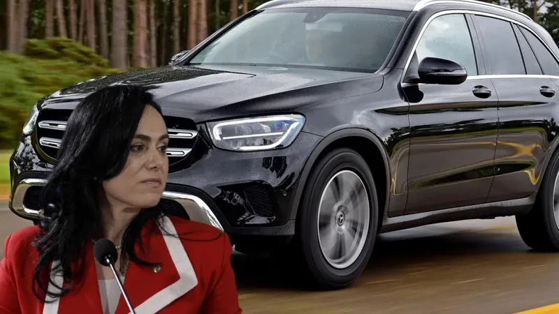 Ministrul muncii Bucura Oprescu și-a luat Mercedes - Foto: INQUAM / Octav Ganea
