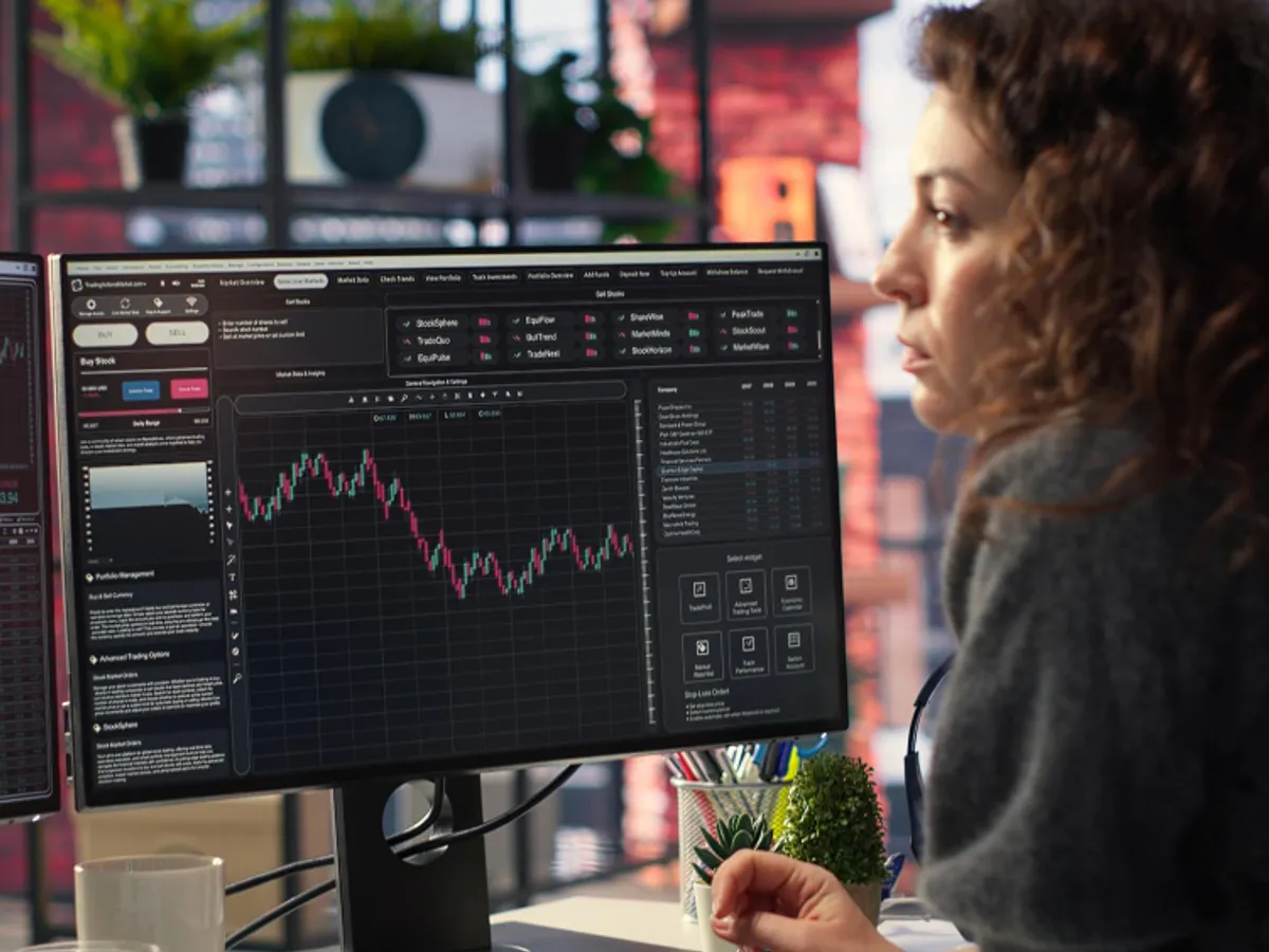 Execuția bugetară. Adrian Negrescu: „Această ajustare masivă nu s-a produs din întâmplare” De unde sunt banii?