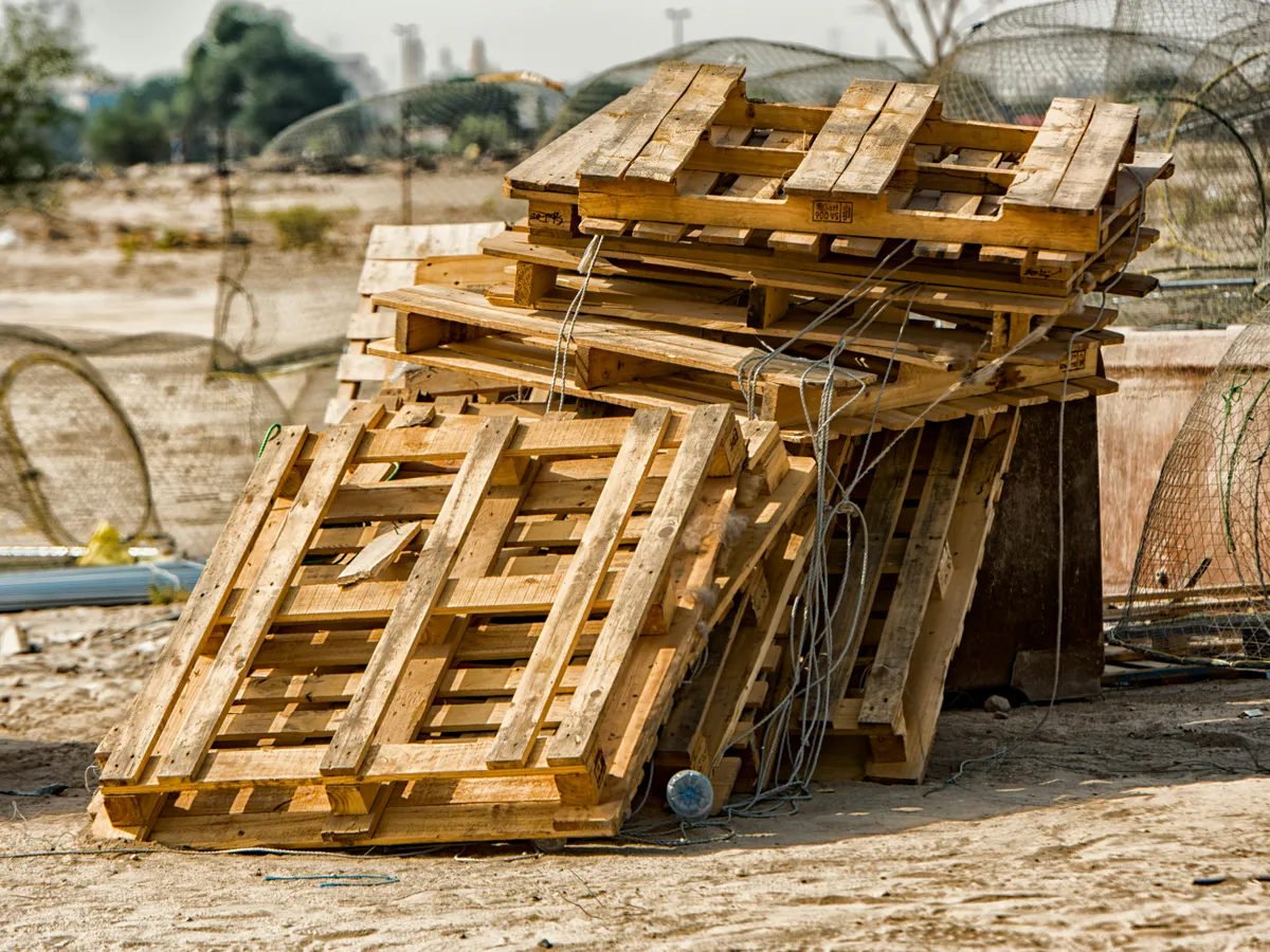 Paleți Foto: Pexels (imagine cu rol ilustrativ)