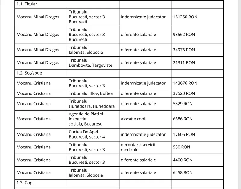 Declarație de avere - Foto: ANI