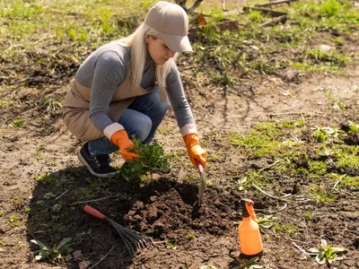 Persoană care plantează bulbi - Foto: Freepik (Imagine cu rol ilustrativ)