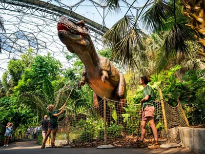 Noul dinozaur, rudă cu Tyrannosaurus rex - Foto: Profimedia Images (imagine cu rol ilustrativ)