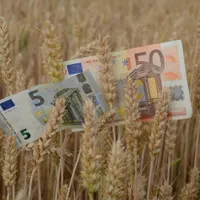 Doi români, care s-au dat „fermieri activi”, urmăriți penal de DNA - Foto: Profimedia Images - Imagine cu rol ilustrativ