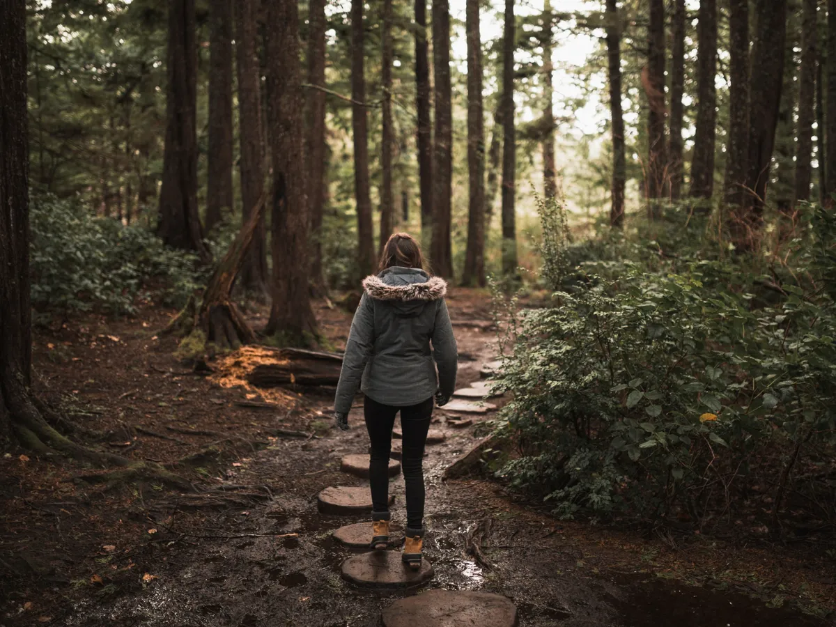 Cea mai bântuită pădure din lume se află în România. Vizitatorii sunt îngroziți: „Înghite oameni”
