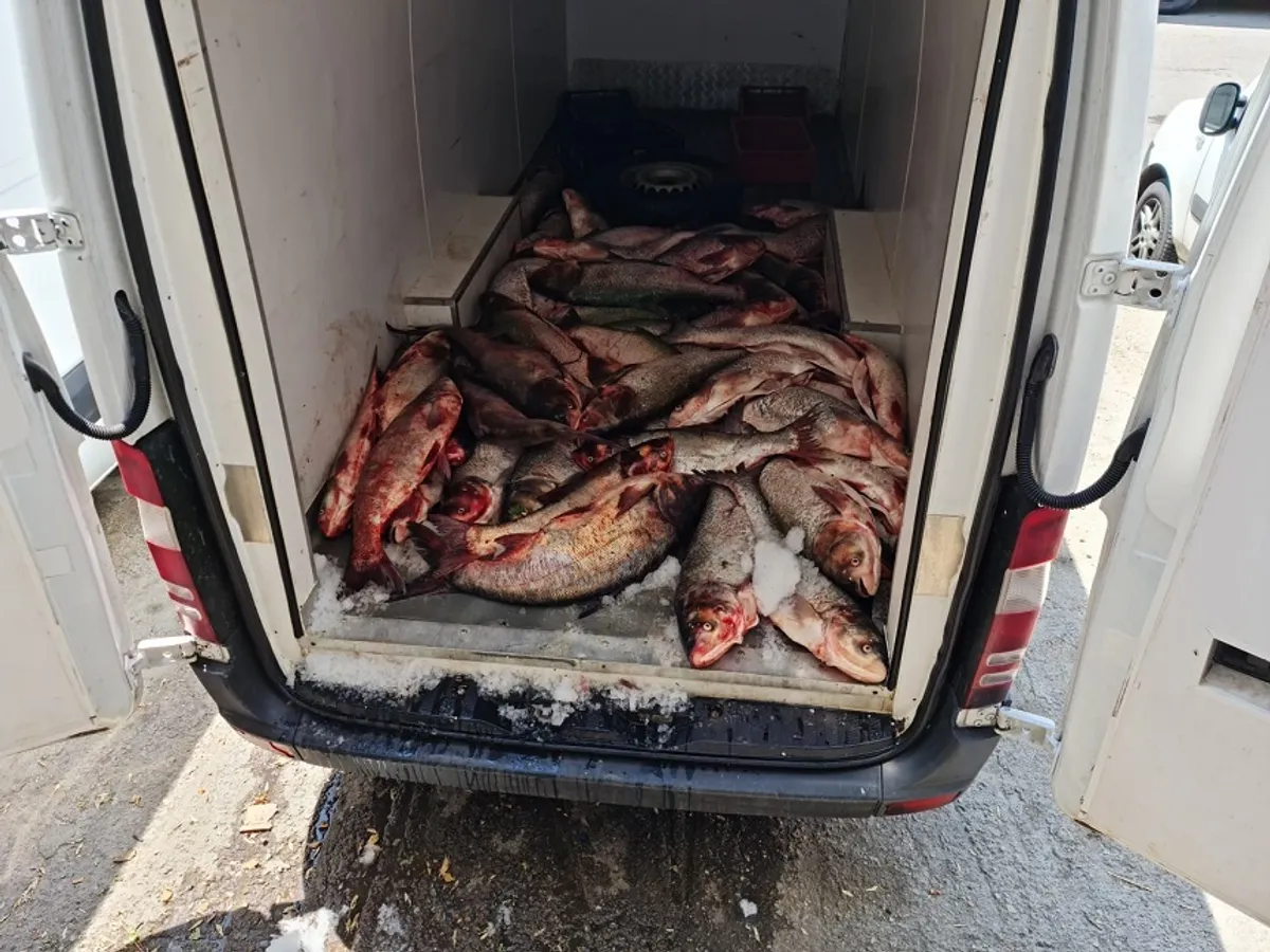 ANPC a găsit nereguli la Hala Obor-Foto: NEWS.RO