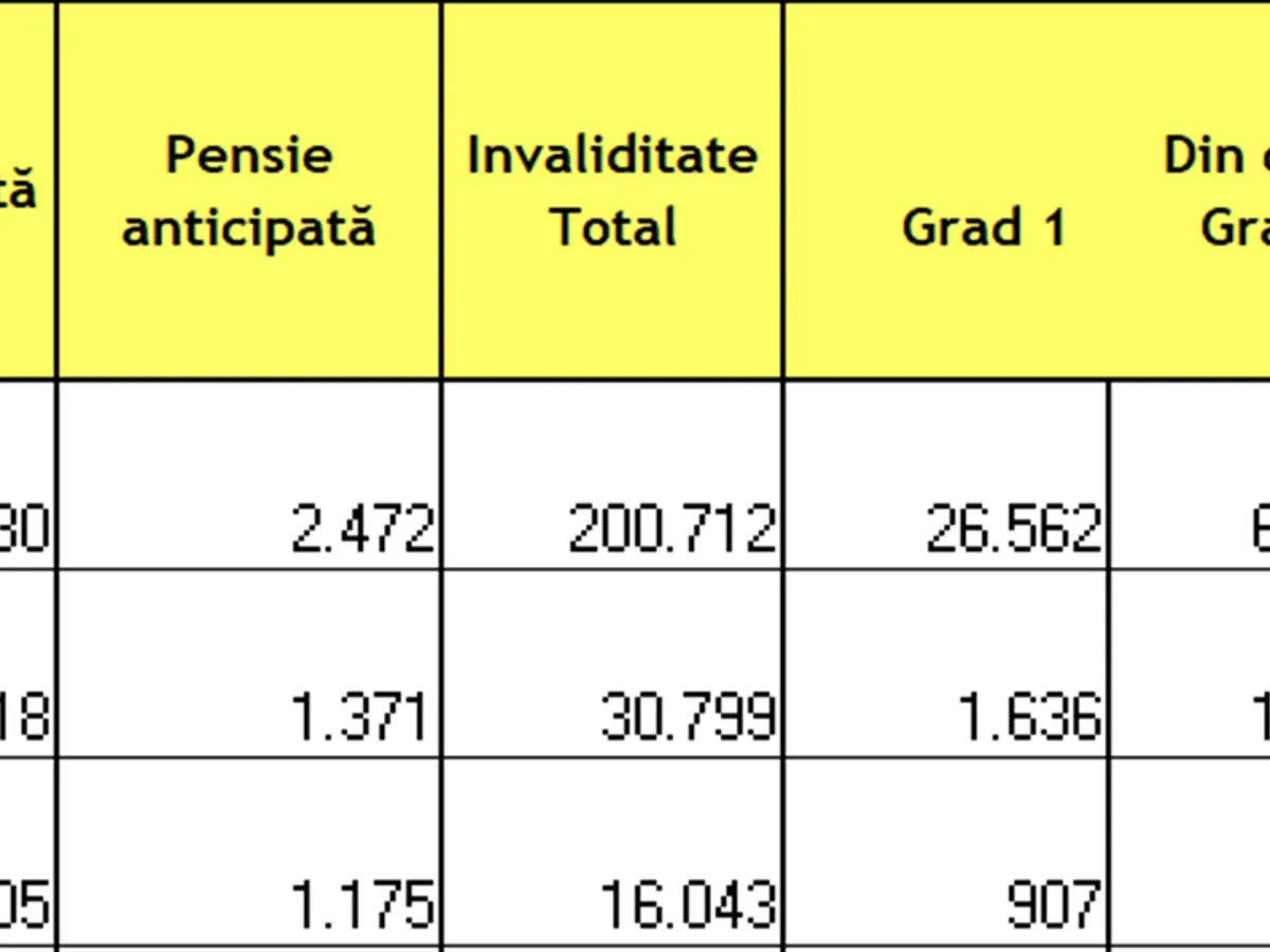 Date pensii - Foto: CNPP