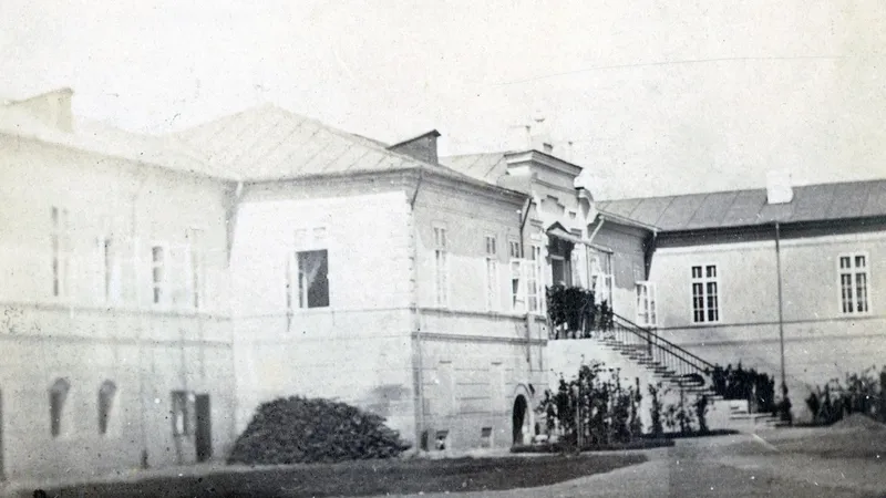 palatul cotroceni cuza