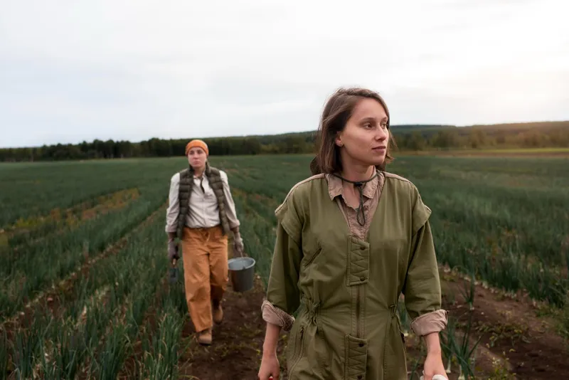 Agricultură - Foto Freepik (rol ilustrativ)