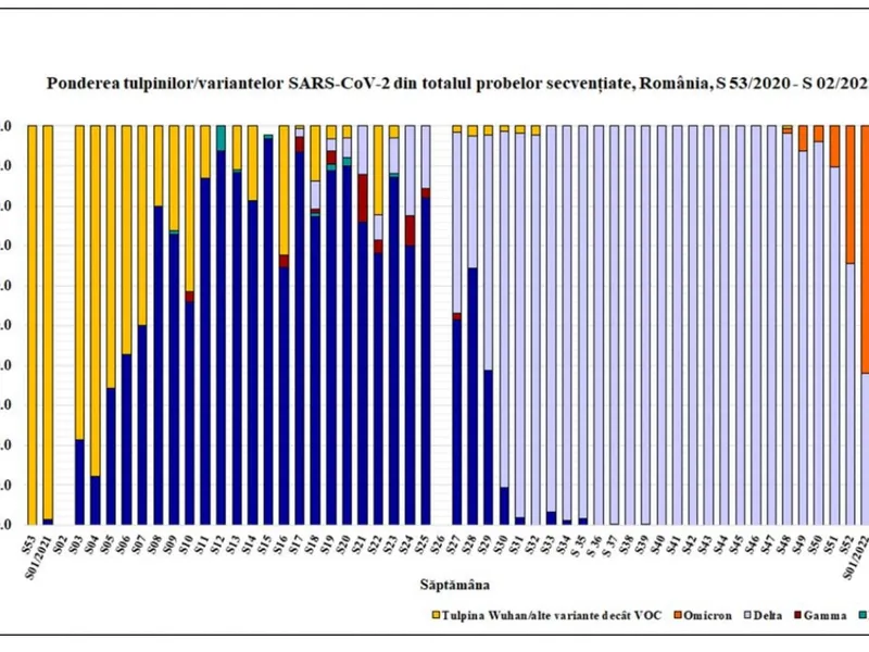 Pondere Omicron și Delta în probele secvențiate. Sursa: INSP