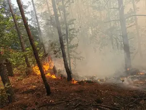 Avioane militare intervin pentru a stinge incendiul de pădure, din Mehedinți. Copacii ard de 8 zile - Foto: News.ro