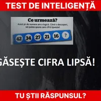 Test de inteligență Foto: Newsweek