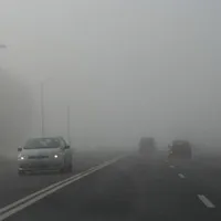 Cod galben de ceaţă - Foto: tvrmoldova