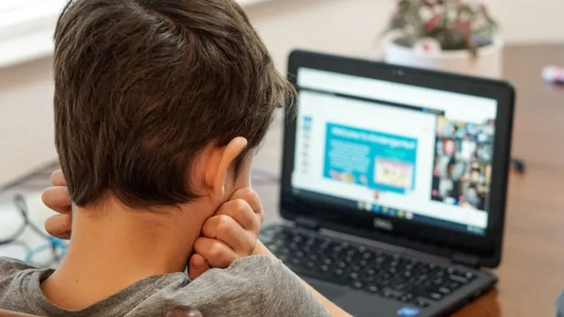 DSP Ilfov recomandă tuturor școlilor din județ să treacă în online/FOTO: Unsplash