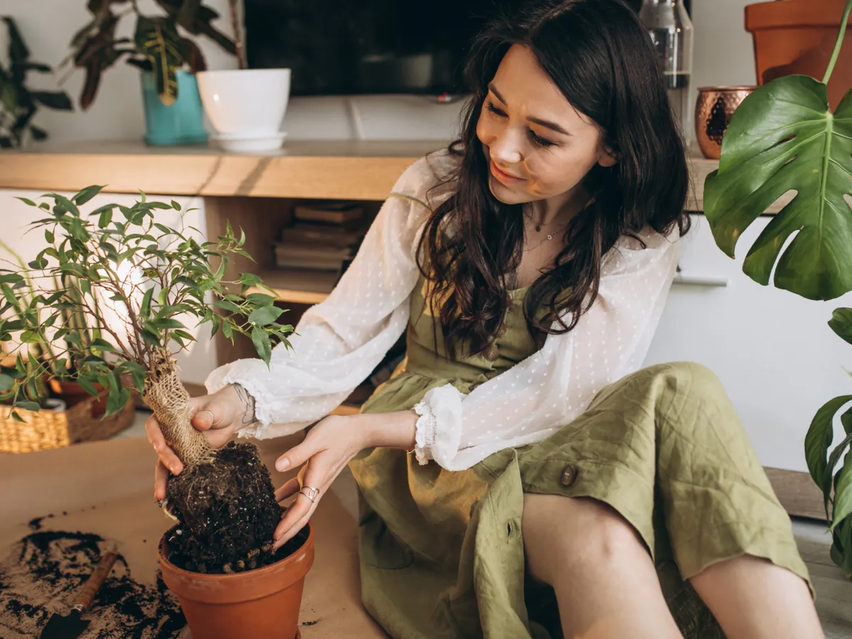 Femeie care îngrijește plantele - Foto: Freepik (Imagine cu rol ilustrativ)