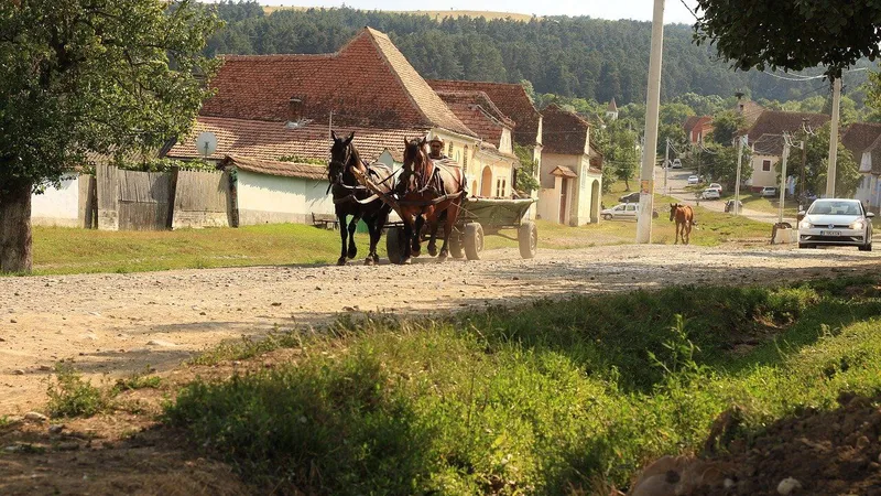 Amenzi de până la 6.000 lei pentru românii care stau la țară. Ce nu mai au voie să facă? - Foto: Profimedia Images / (imagine cu rol ilustrativ)