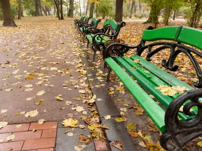 Se schimbă radical vremea de săptamâna viitoare. Sunt anunțate ploi și scăderi de temperatură Foto: Profimedia Images (fotografie cu caracter ilustrativ)