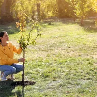 Femeie care plantează un copac - Foto: Magnific.com (Imagine cu rol ilustrativ)