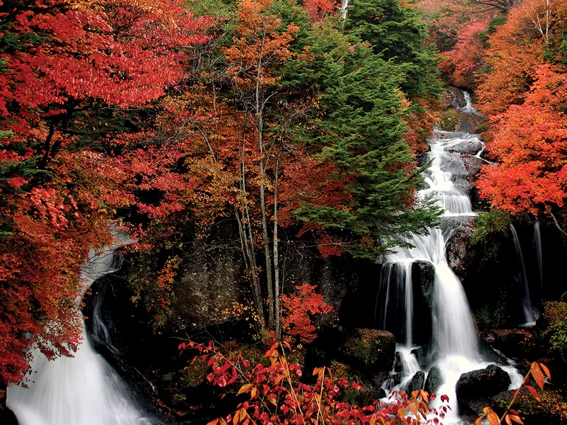 Nikko Japonia