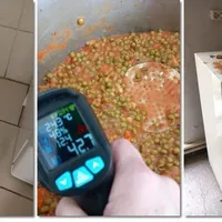 Cantina unui liceu din Timișoara, închisă de urgență. S-au găsit șoareci, gândaci și mucegai - Foto: Colaj/ Imagine cu caracter ilustrativ