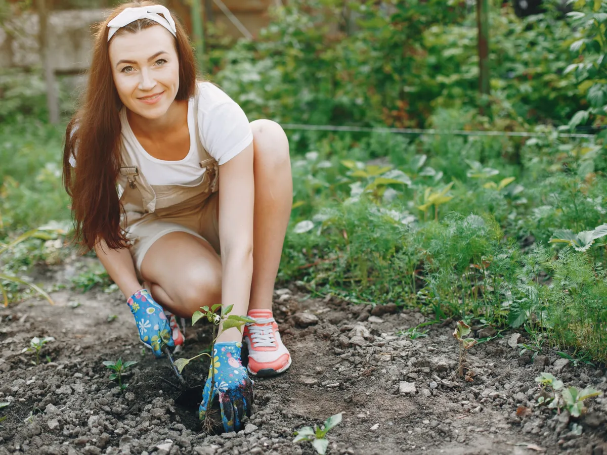 Femeie care plantează - Foto: Freepik (Imagine cu rol ilustrativ)