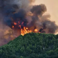 Incendiu de vegetație - Foto: Profimedia