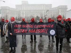 Protestul organizat în fața Palatului Parlamentului/FOTO: Inquam Photos/Octav Ganea