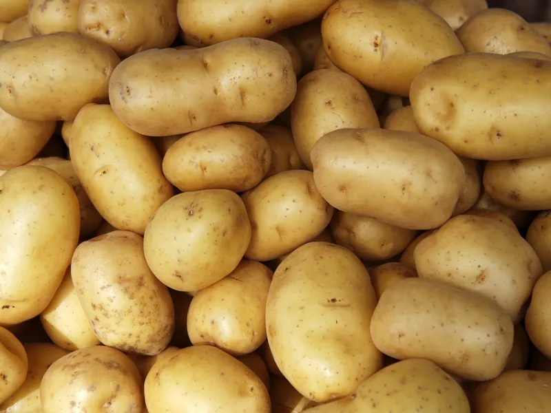 Cartofii din grădină care NU au calorii. Îi mănânci prăjiți, cu brânză și ouă fără să te îngrași - Foto: Freepik (imagine cu rol ilustrativ)
