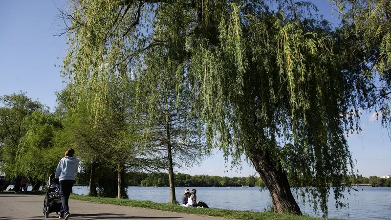 Descoperire macabră în lacul Herăstrău - Foto: INQUAM Photos/Octav Ganea - cu rol ilustrativ